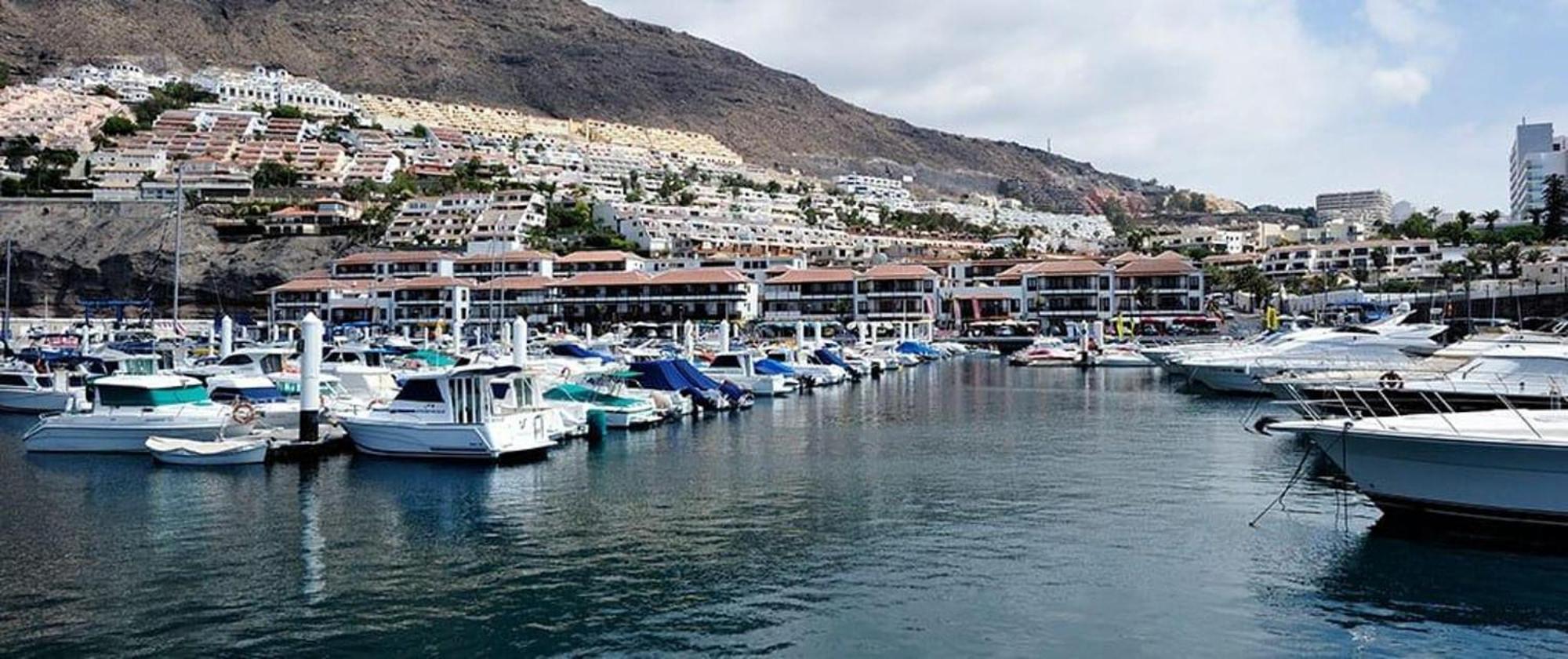 Ocean View Paradise In Los Gigantes Apartman Acantilado de los Gigantes Kültér fotó